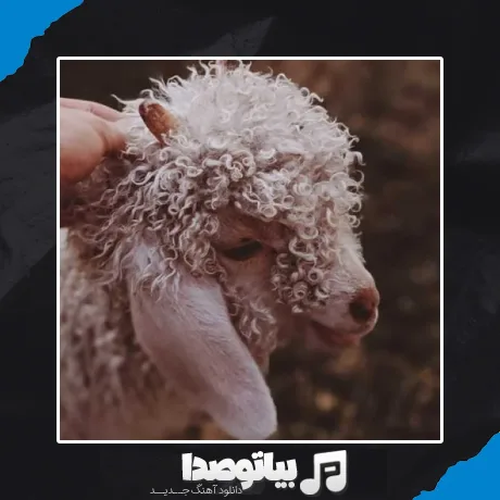 دانلود آهنگ ببعی تو بازیگوشی