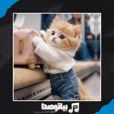 دانلود آهنگ محسن لرستانی با صدای گربه