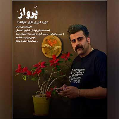 دانلود آهنگ پر وبالی نمن پرواز بکم از مجید عزیزی + متن آهنگ