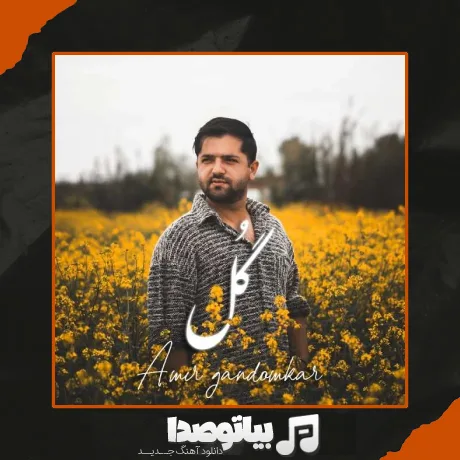 دانلود آهنگ امیر گندم کار گل