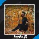 دانلود آهنگ سیامک هنرور سن حالیمین درمانی 2