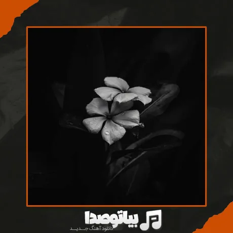 دانلود آهنگ حاجی قدو ببین یا خدا