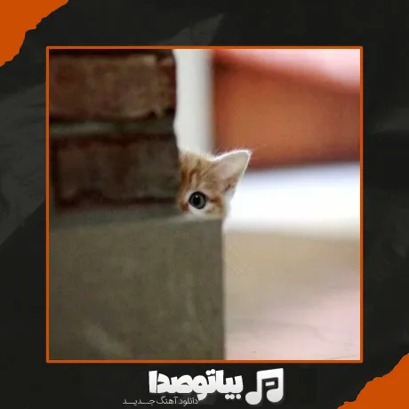 دانلود آهنگ باشه برو منم نبین