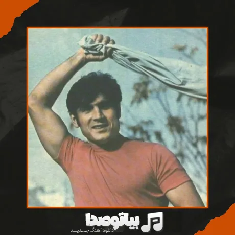 دانلود آهنگ واویلا لیلی دوست دارم خیلی