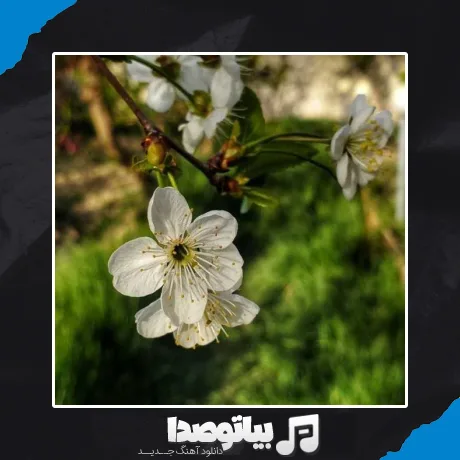دانلود آهنگ بهاره بهاره دلم آروم نداره