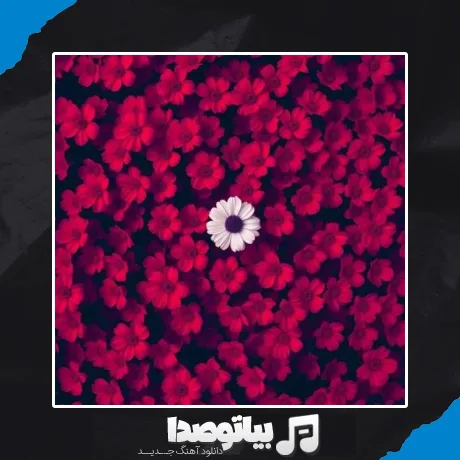 دانلود آهنگ عشق که در میزنه