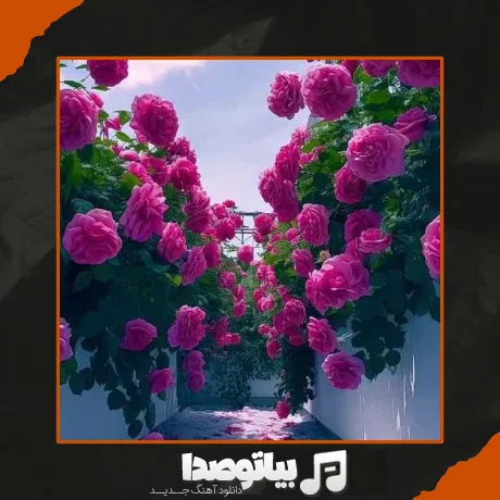 دانلود آهنگ من اولین و آخرین خریدار اداتم