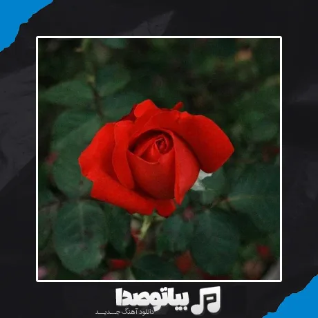 دانلود ریمیکس دنن آیریلیرام سنن هرجور که فکر کنی