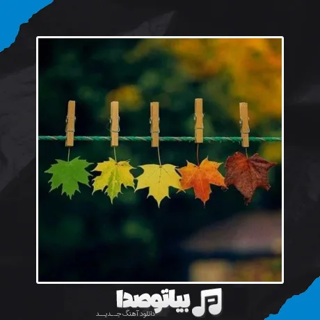 دانلود آهنگ دیگه حرفام نداره رنگی