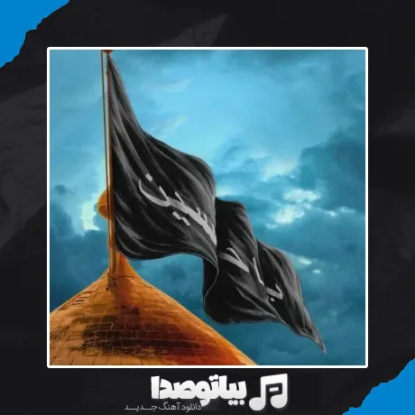 دانلود نوحه تو شمشیر نمیخوای ریمیکس