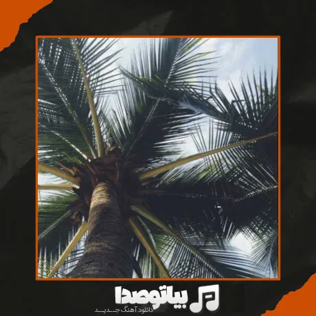دانلود آهنگ زیر نخلا رقصیدیم تو جزیره