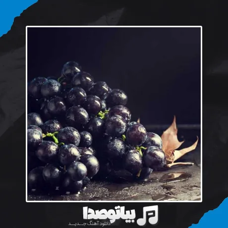 دانلود آهنگ ممد اون آب انگورو بیار