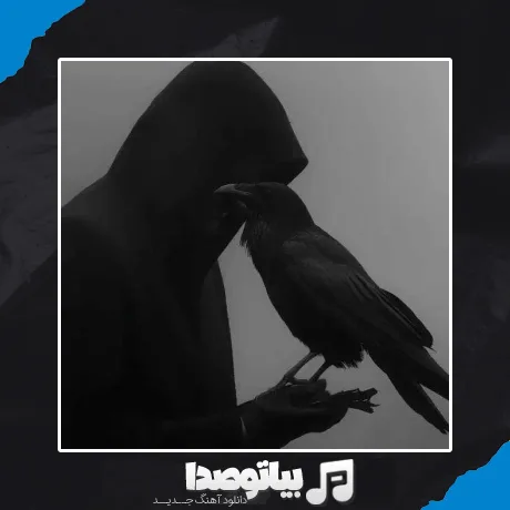 دانلود آهنگ تو فصل پرواز پلیکان ها ریمیکس